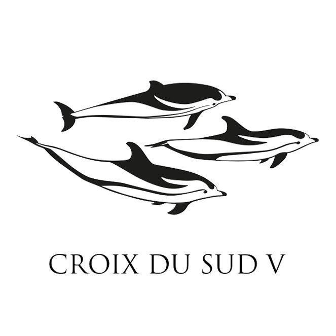 Logo croix du sud