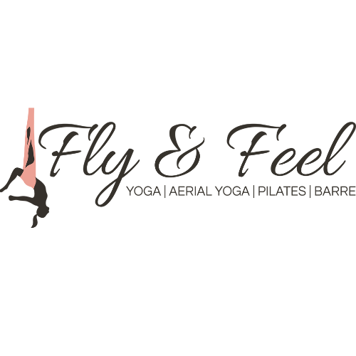 Logo Fly and feel