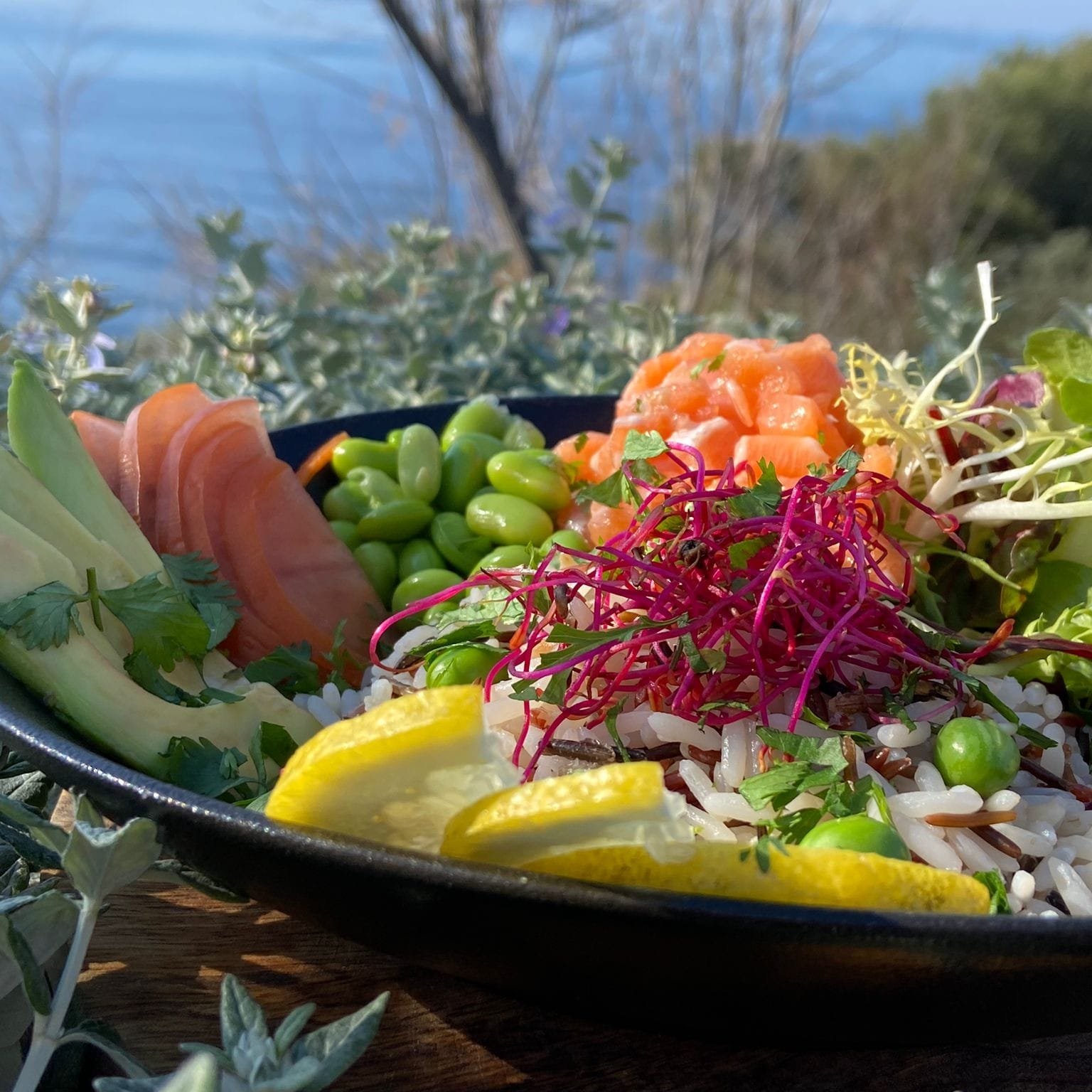 Salade fraicheur
