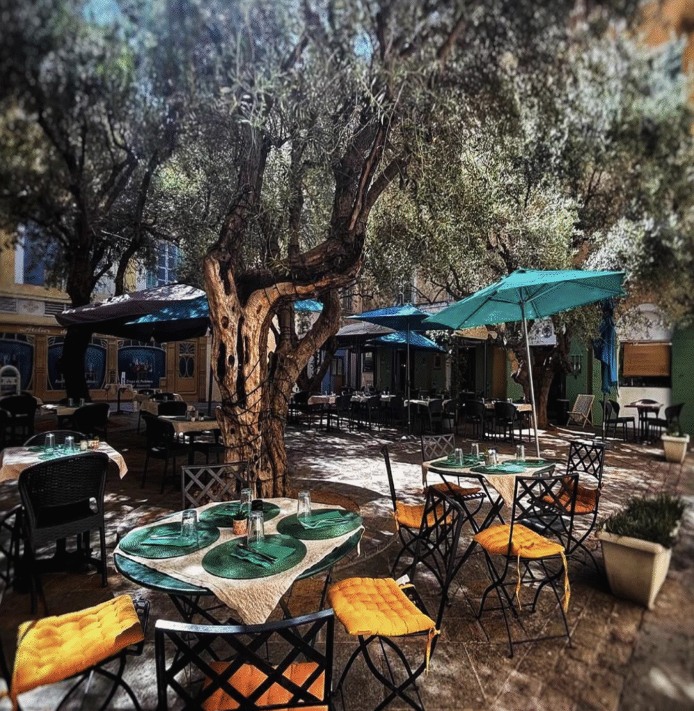 la feuille de chou Toulon