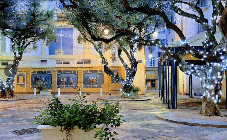 la feuille de chou Toulon