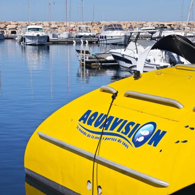 Aquavision activité famille