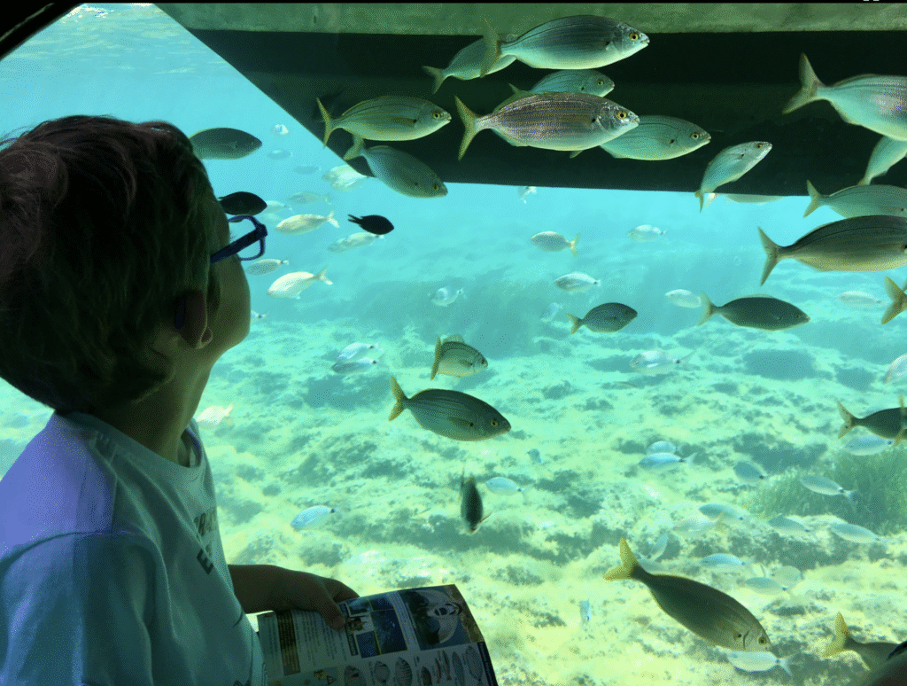Aquavision activité famille