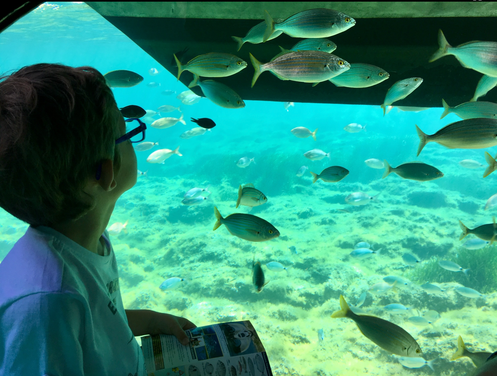 Aquavision activité famille